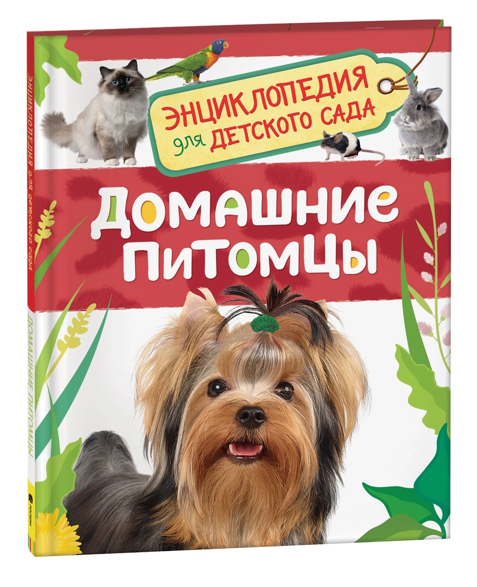 Домашние питомцы
