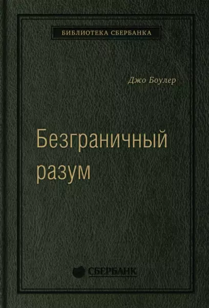 Джо Боулер «Безграничный разум»