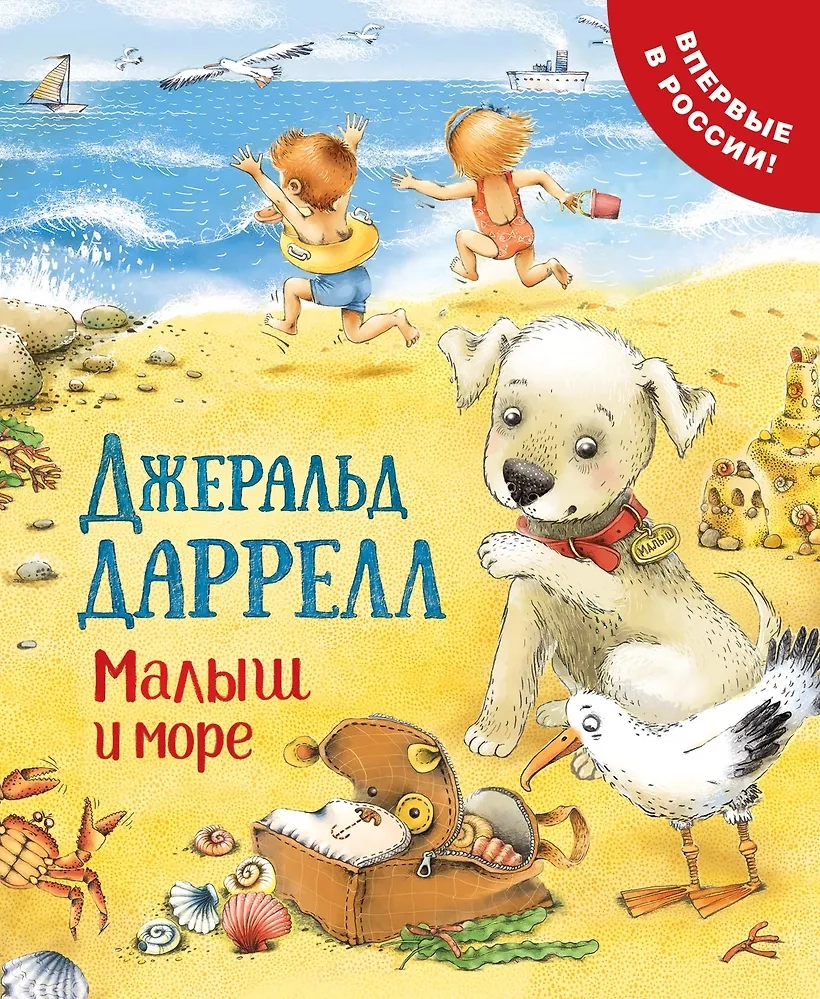 Даррелл Дж. Малыш и море